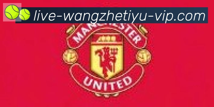 王者体育直播合作伙伴